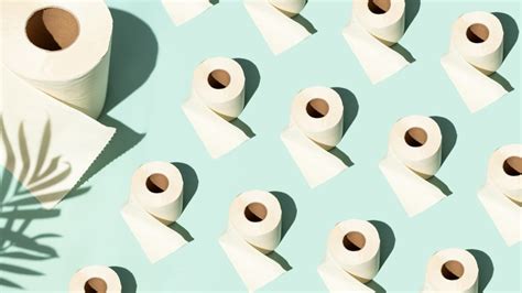 Bamboo Toilet Paper Is It The Next Best Thing For Your Bum Reviewed