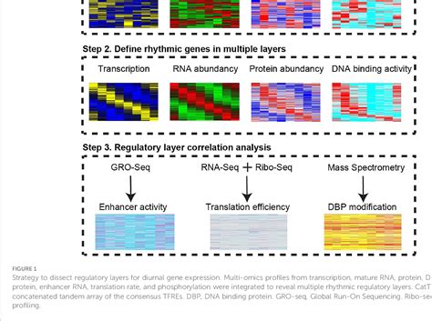 Figure 1 From In Silico Integrative Analysis Of Multi Omics Reveals