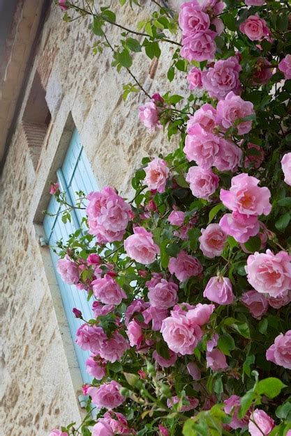 Jardim Na Rua Em Uma Antiga Vila Francesa Foto Premium