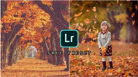 Autumn Preset Lightroom Mobile How To Edit Autumn Look Free Preset