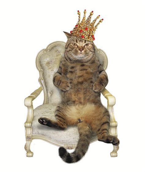 Cat In Crown On Throne Stock Image Image Of Background