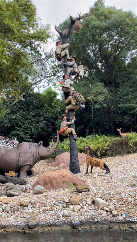 Magic Kingdom Park A Gay Couple Exploring Walt Disney World