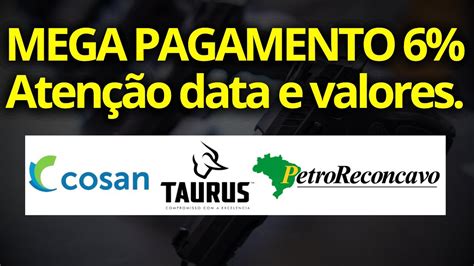 Mega Dividendos Csan Recv E Tasa Vai Se Recuperar A Es Para Viver