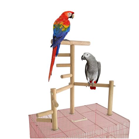 Buy Ksk Bird Cage Play Stand Toy Ladder Swing Parrot Perch Play Gym