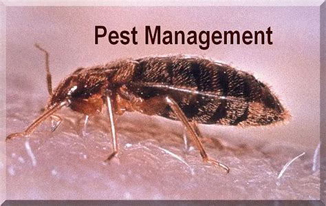 pest control business   start business plan checklist