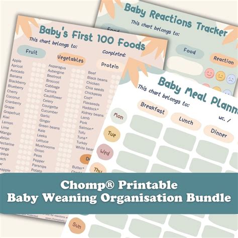 Baby Weaning Printable Bundle 20 Pages I Baby's First Food Checklist I ...