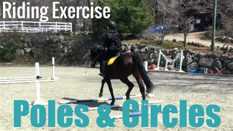 Trot Poles And Circles Exercise Horse Riding Exercise Youtube