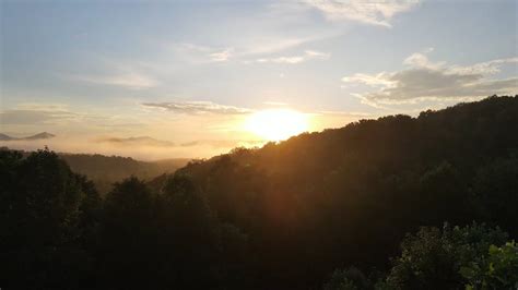 Aerial Shot Of Forest During Winter Free Stock Video Footage, Royalty-Free 4K & HD Video Clip