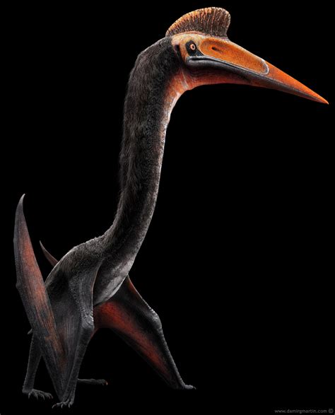 ArtStation - Quetzalcoatlus, Damir G. Martin | Prehistoric, Prehistoric ...