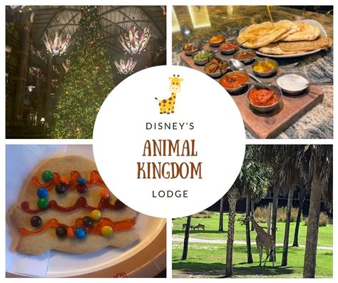 Ultimate Guide to Animal Kingdom Lodge Activities for Families