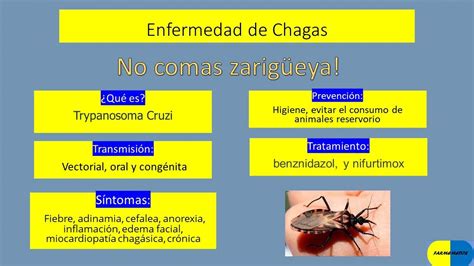 Enfermedad De Chagas Trypanosoma Cruzi Tratamiento Síntomas