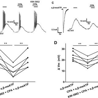 CPA induced suppression of α β meATP evoked membrane excitability of