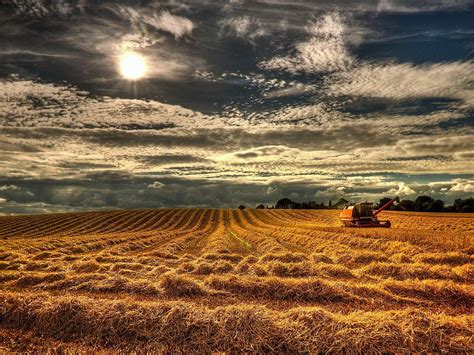 Field harvested by backhoe under black and white clouds and sunlight HD ...