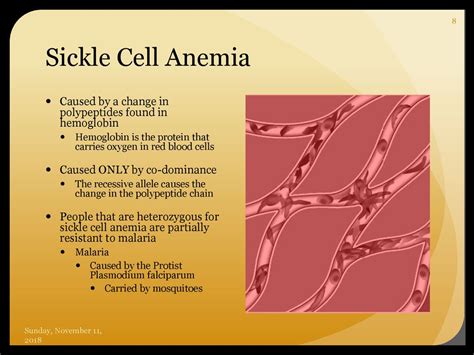 Sex Linked Genetic Disorders And Autosomal Disorders Ppt Download