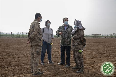 中棉所圆满完成2022年试验地春播工作 中国农业科学院棉花研究所