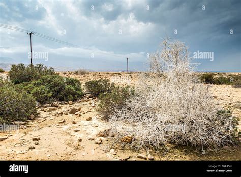 Paisaje Oman Fotografías E Imágenes De Alta Resolución Alamy