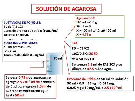 Prepare Ml De Un Gel De Agarosa Al Con Tae X Y Bromuro De