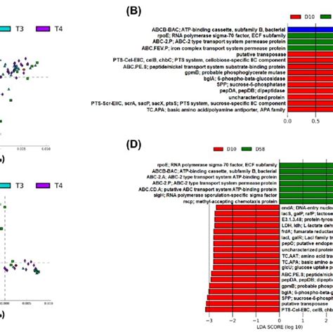 Different Functions Predicted By Picrust At The Fourth Level Of Kegg