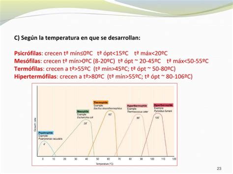 Bacterias Definicion Y Clases PPT