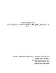 Copy Of Mahir Hilal LAB Corn Genetics Dihybrid Inheritance Patterns