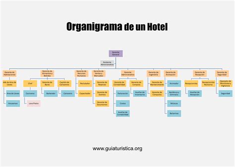 Organigrama De Un Hotel Mediano Y Sus Funciones Pares The Best Porn