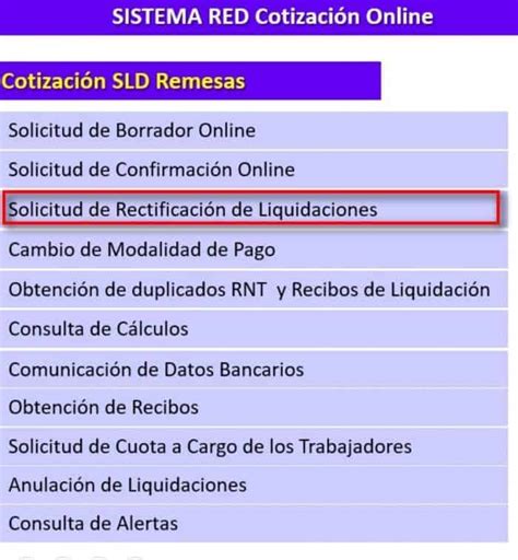 Qué es la Rectificación de liquidaciones