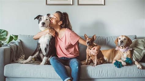 Nos Amis Les Animaux Qu Est Ce Que Ca Signifie