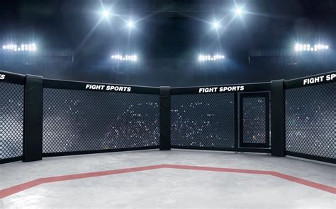 Beleco X Ft Fabric Boxing Ring Backdrop Arena Background Ufc Birthday