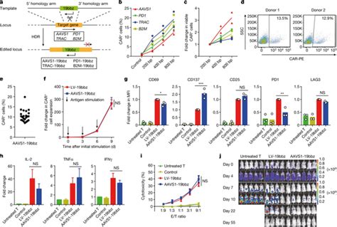 专访邦耀生物 完全缓解率超87，非病毒定点整合car T临床研究登顶刊，或为升级细胞治疗提供技术支持 知乎