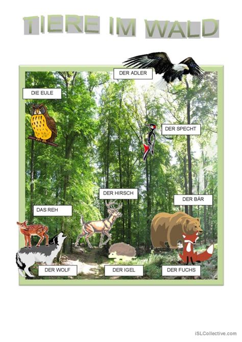 Bilderwörterbuch Tiere im Wald bil Deutsch DAF Arbeitsblätter pdf doc