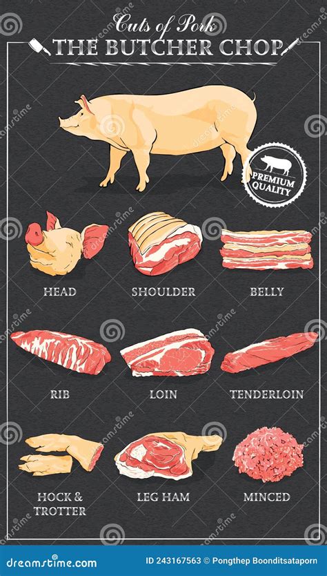 Pork Cuts Chart Poster Edusvetgobgt