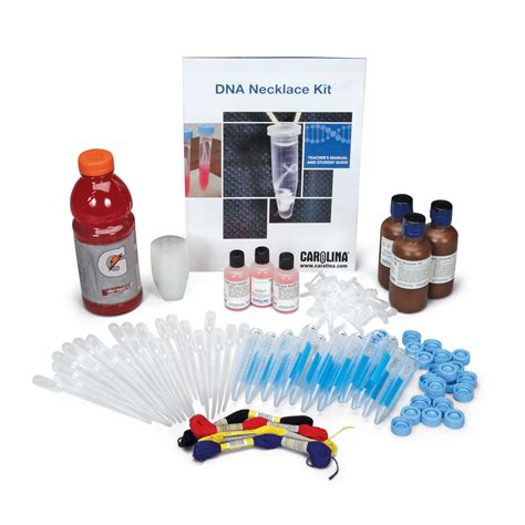 Dna Necklace Kits Carolina Biological Supply