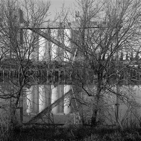 Kennedy Gene Tree Screen Rice Silos Viewpoint Photographic Art