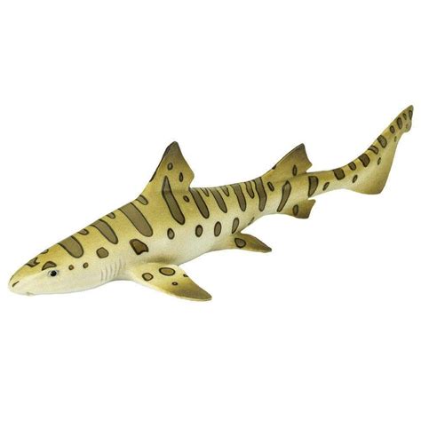 Leopard Shark Toy Sea Life Safari Ltd®