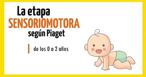 Piaget Y Las Cuatro Etapas Del Desarrollo Cognitivo