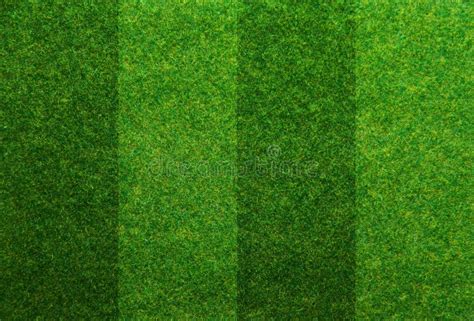 Soccer Field Grass Texture