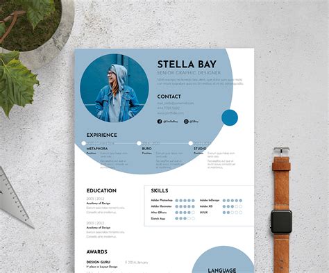 Indesign Cv Resume Template