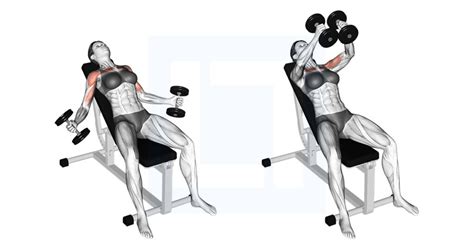 Hyght Dumbbell Fly Guide Benefits And Form