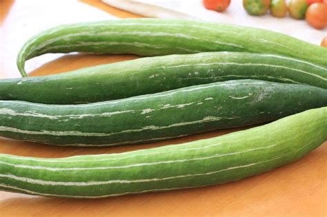 Snake Gourd Health Benefits Nutrition And Recipes