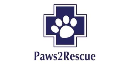 Lola Rose is fundraising for Paws2Rescue