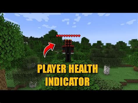 Player Health Indicator Mod For Minecraft 1 21 YouTube