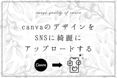 インスタのためのcanvaの使い方完全ガイド【バズる投稿を作るコツ】