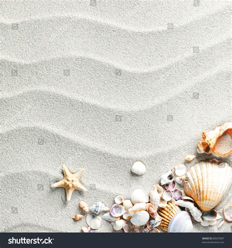 Beach Starfish Seashells Stock Photo 80037007 | Shutterstock