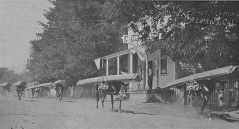 HUMBOLDT HISTORY Trains Of Pack Mules Run By Famous Muleteers Opened