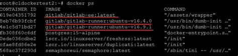 Installing GitLab Runner And Container Registry On Your Home Server