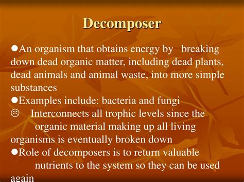 Ppt The Ecosystem Powerpoint Presentation Free Download Id 2257834