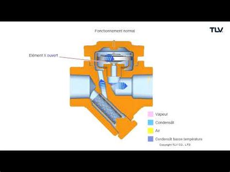 Fonctionnement En Animation Purgeur De Vapeur Thermostatique L S