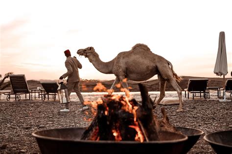 The White Camel: Agafay Luxury Camp, Lodges, Pools & Dining