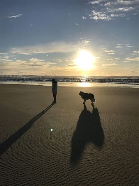 Long Shadows In Long Beach Wa Beach Travel Holiday Sand Nature