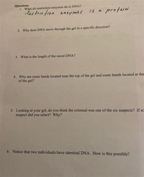 Solved Questions 1 What Do Restriction Enzymes Do To Dna